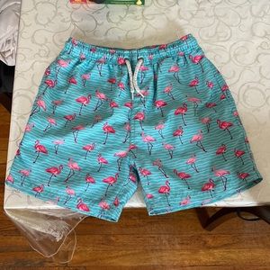 Flamingo Stretch Swim Shorts